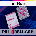 Liu Bian 32